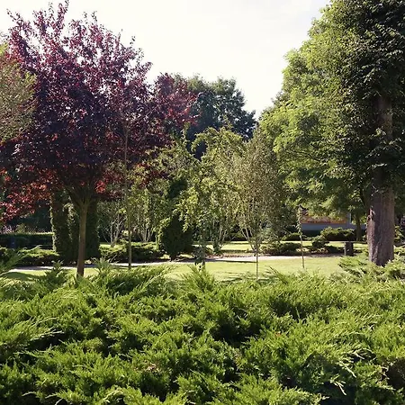 Apartment Studio Four